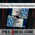 Grüne Hornissenlaschen viagra5
